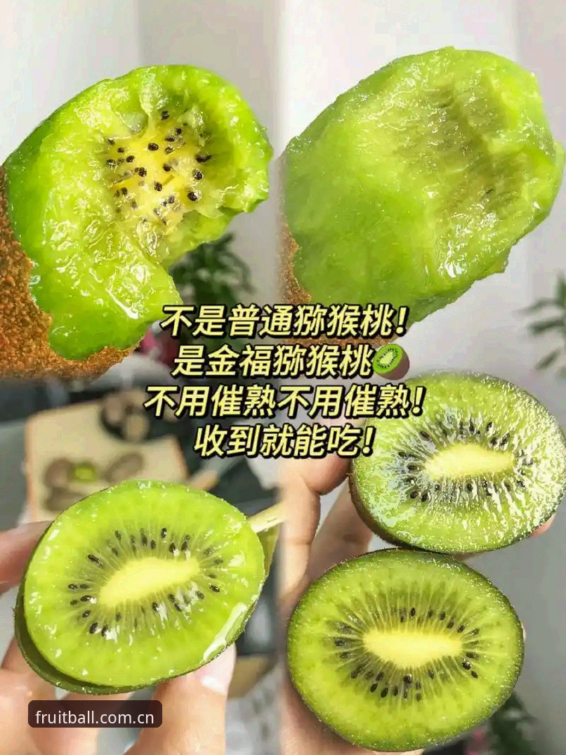 奇异果体育网址 如何对比奇异果体育网址的下载入口与登录方案?